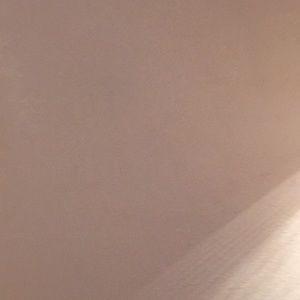 Meet your Posher, Shyla